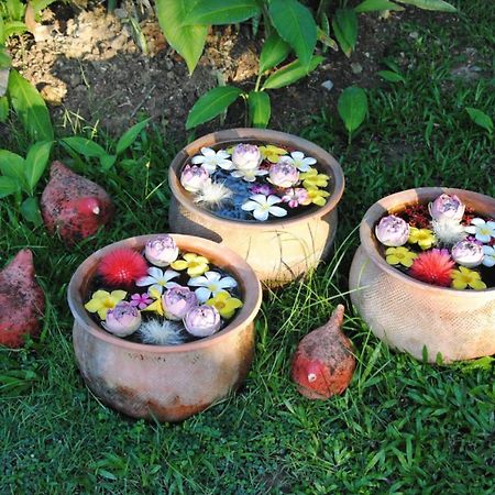 Baan Chai Thung Resort Doi Saket Εξωτερικό φωτογραφία