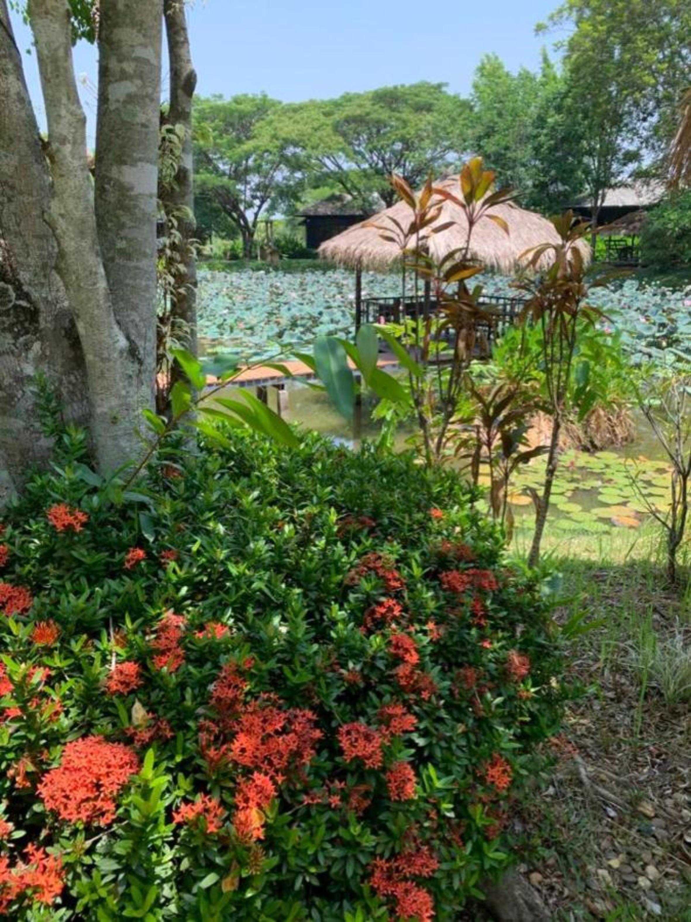 Baan Chai Thung Resort Doi Saket Εξωτερικό φωτογραφία